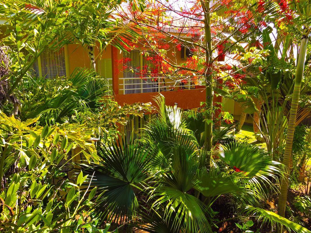 Koniambo Hotel Kone Phòng bức ảnh
